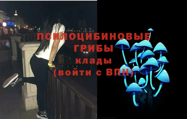 мяу мяу мука Кущёвская