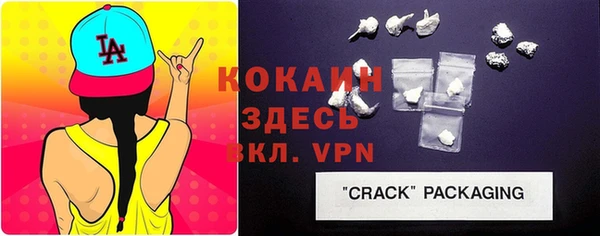 прущие грибы Нея