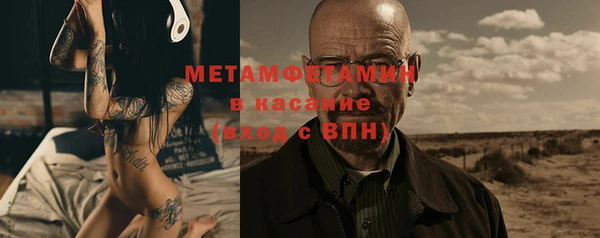 крисы Новозыбков