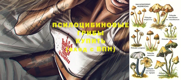 ALPHA-PVP Нефтегорск