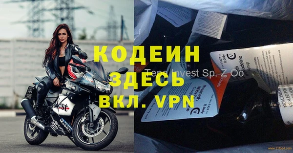 крисы Новозыбков