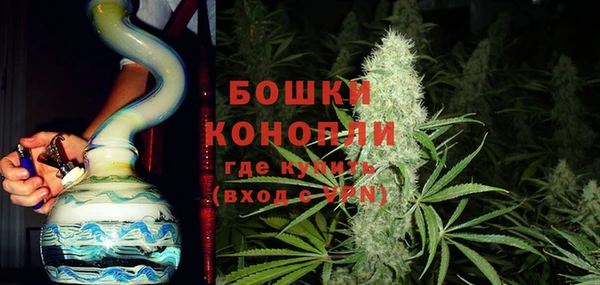 крисы Новозыбков