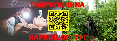 каннабис Аргун