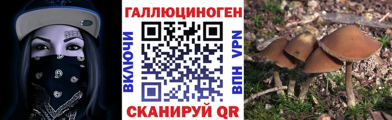 blacksprut ссылка Ачинск Галлюциногенные грибы мухоморы