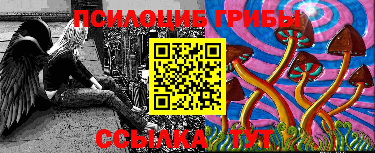 Псилоцибиновые грибы прущие грибы Ачинск