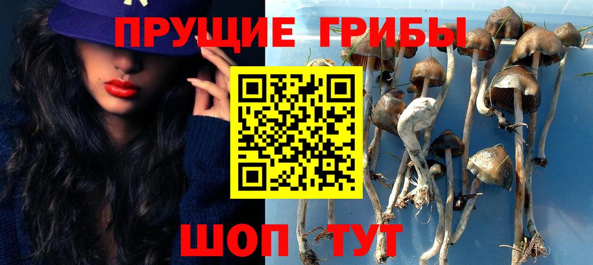 Ачинск  Псилоцибиновые грибы MAGIC MUSHROOMS  Вход с VPN 