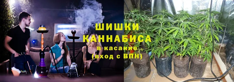 сколько стоит  Ачинск  blacksprut зеркало  Бошки марихуана Amnesia 