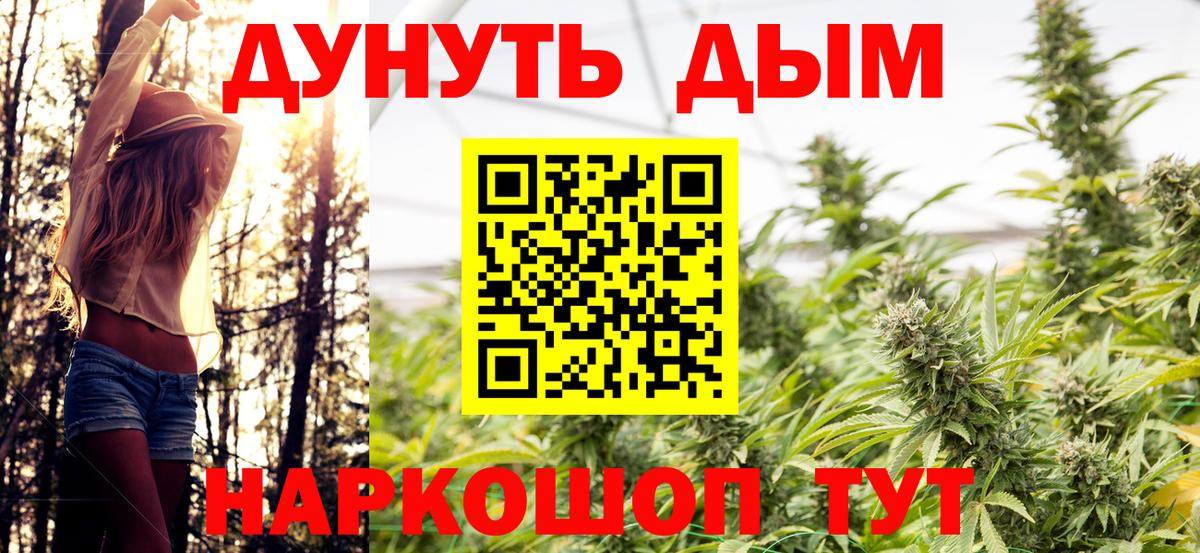 Конопля гибрид  Конопля гибрид  Конопля гибрид  Конопля гибрид  Конопля гибрид  Конопля гибрид  Ачинск 