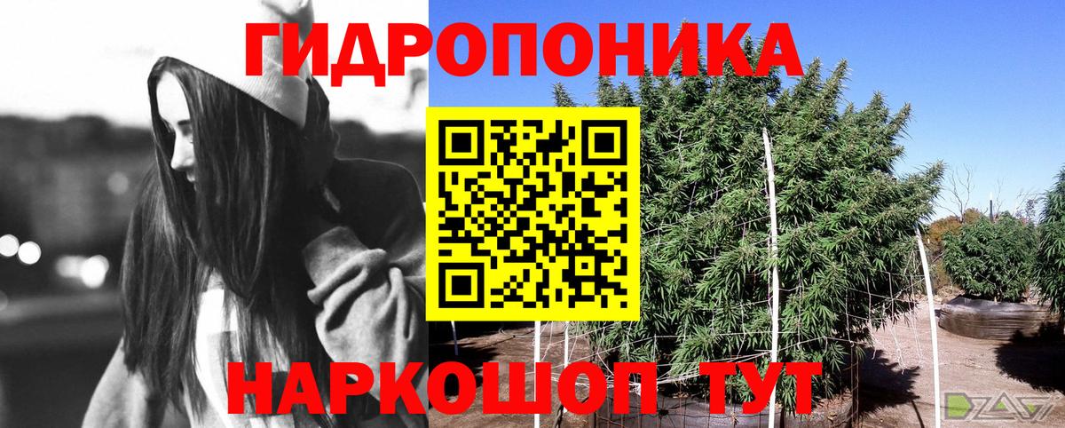 ГАШИШ  Кодеин  Меф кристаллы  МАРИХУАНА  Ачинск  ГАШ  Лсд 25  Вход с VPN  A PVP СОЛЬ  